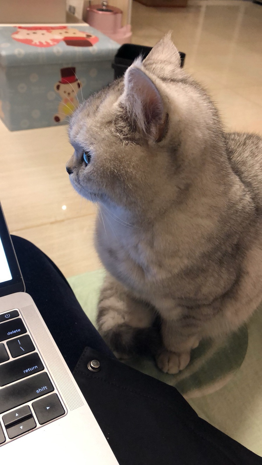 小时候的侧脸